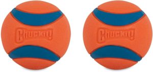 CHUCKIT! Hundeball Ball