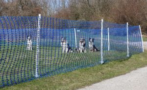 Callieway Agility Parcoursabgrenzung, Hundesportzaun, 1m hoch, blau, extra reißfest, verschiedene Längen