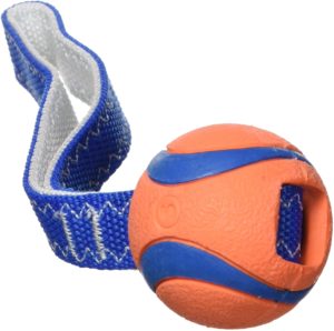 Chuckit! Ultraball als Zerrspielzeug, Sehr robuste und strapazierfähige Handschlaufe