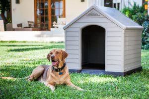 Curver - Hundehütte für Garten PVC/Kunstharz beige/braun 99x95x99 cm
