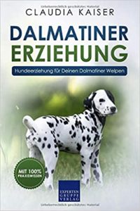 Dalmatiner Erziehung