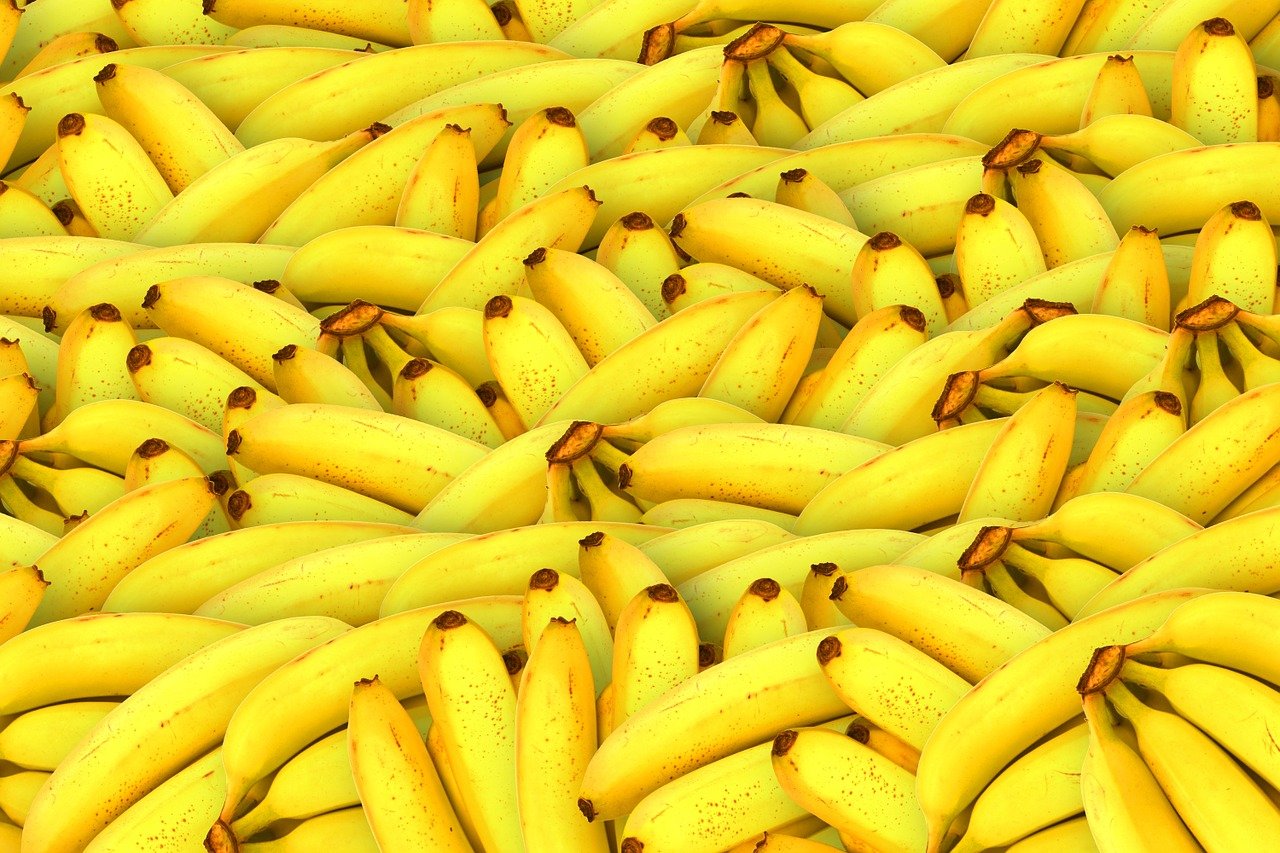 Dürfen Hunde Banane essen ️ Wie viele Bananen ️