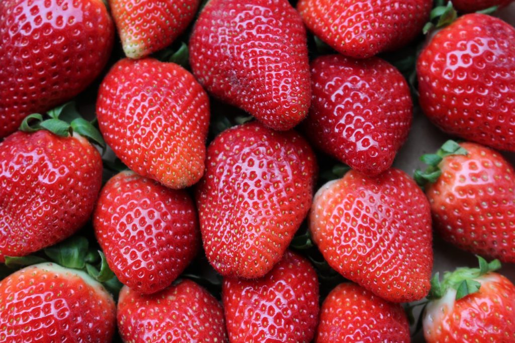 Dürfen Hunde Erdbeeren essen