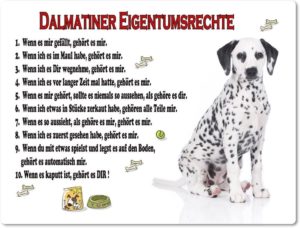 Eigentumsrechte Dalmatiner