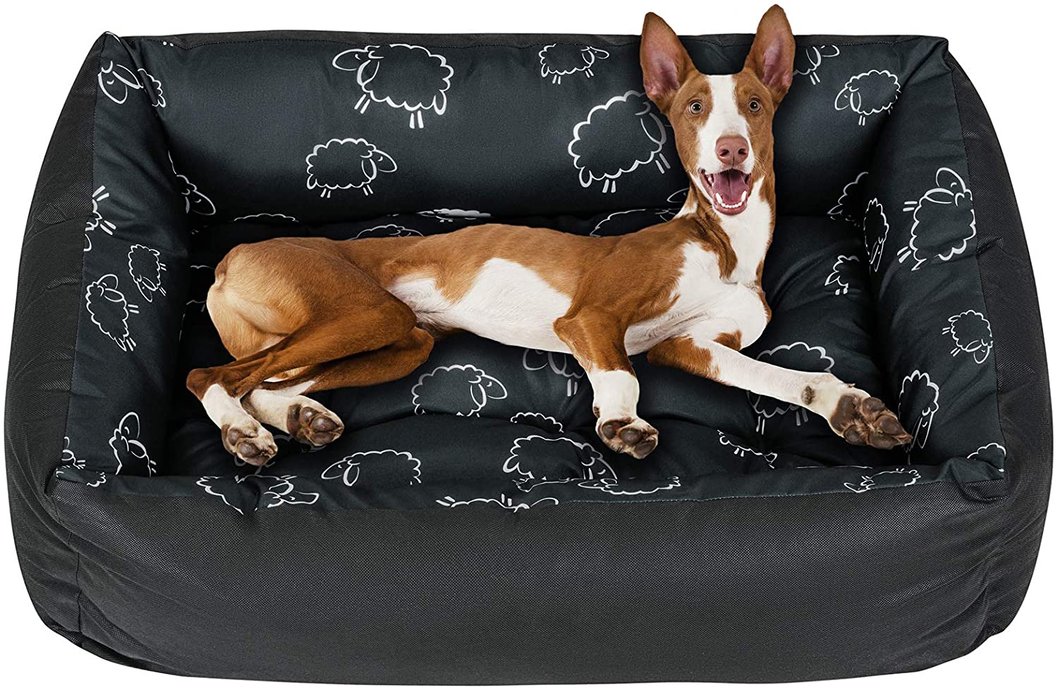 Hundeschlafplätze: Komfort für den Hund — alsa-hundewelt