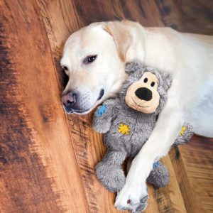 KONG Wild Knots Bear, Plüschspielzeug Hundespielzeug