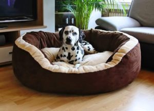 Knuffelwuff extra weiches Hundesofa in XL und XXL