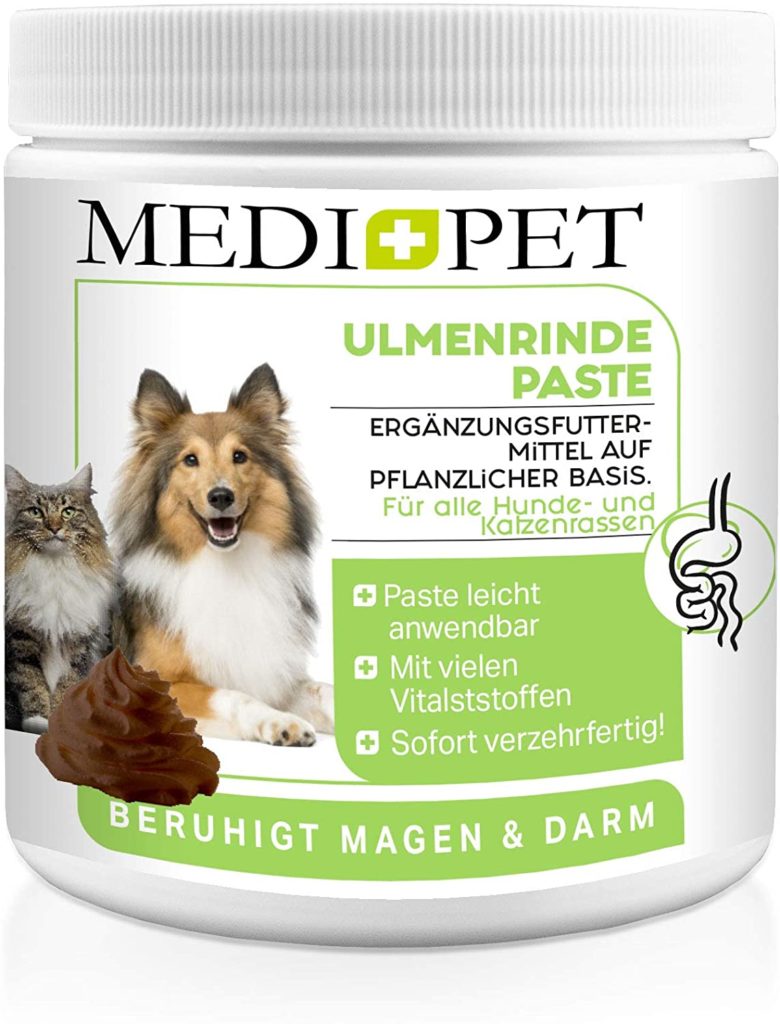 wie viel zwiebel giftig für hund