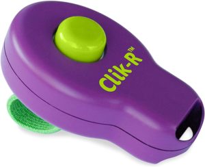 PetSafe Clik-R, Clicker Hund mit Fingerschlaufe, Hundeerziehung, Hundetraining, Trainingsanleitung
