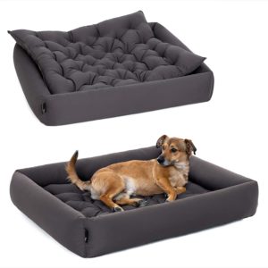 Pointer Hundecouch mit Einlegekissen, orthopädisch, waschbar, Größe M L XL XXL XXXL