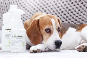 ViPiBaX Giardien Ex - das Hygiene-Spray speziell für Hunde zur Desinfektion von Oberflächen