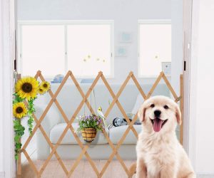 AllRight Hundeabsperrgitter, Hundegitter Hundegatter für Treppen, Türen, Balkone, Garten etc. aufziehbar