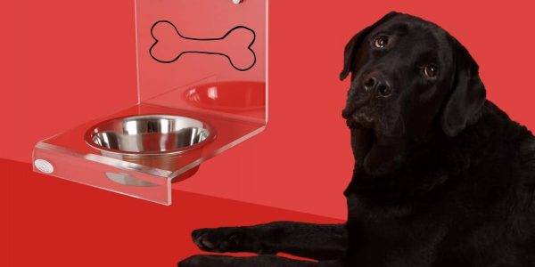 Hundefutter_Hunde